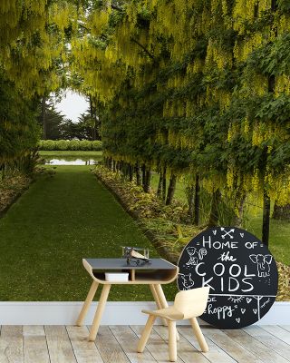 Laburnum Walk Wallpaper