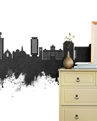 Madison Wisconsin Skyline Black & White Wallpaper Mural