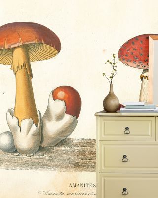 Maybe not Eat Wallpaper
