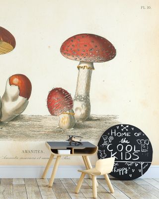 Maybe not Eat Wallpaper