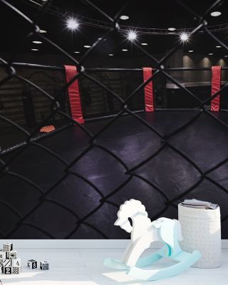 Mixed Martial Arts Wallpaper