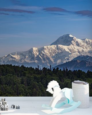 Mount Denali Wallpaper