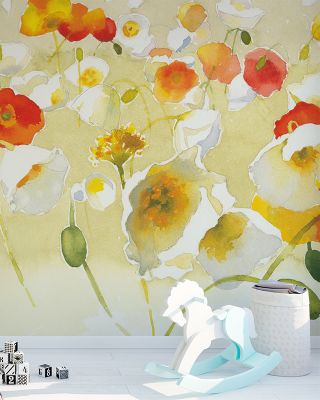 My Iceland Plot II Wallpaper