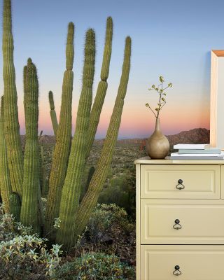 Organ Pipe Cactus National Monument Wallpaper