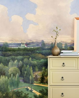 Park Views Wallpaper