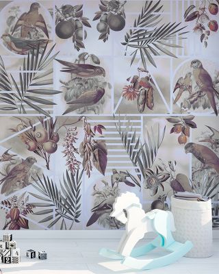 Parrots Study Wallpaper