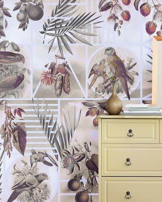 Parrots Study Wallpaper