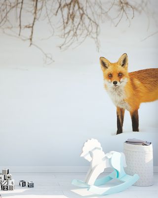 Red Fox IV Wallpaper