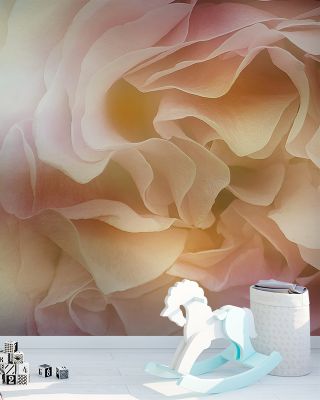 Soft Petals Wallpaper