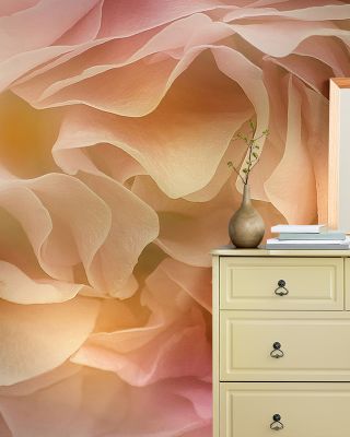 Soft Petals Wallpaper