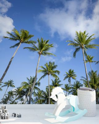 Stretching Palm Trees Wallpaper