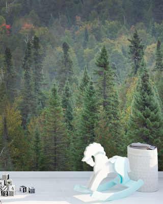 Superior Forest Wallpaper