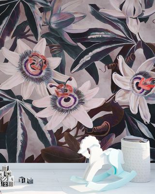 White Passiflora Reddish Purple Wallpaper