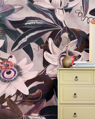 White Passiflora Reddish Purple Wallpaper