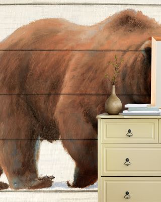 Woody Bear Wallpaper