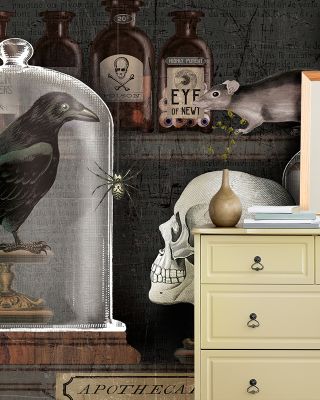 Apothecary Study Wallpaper