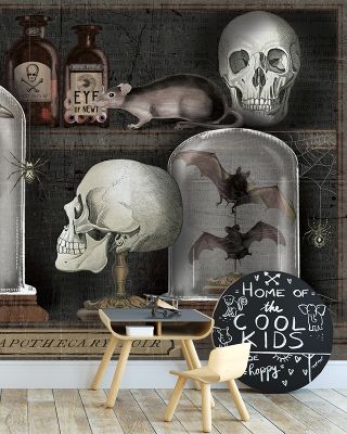 Apothecary Study Wallpaper