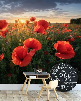 Butterfly Flowers Wallpaper