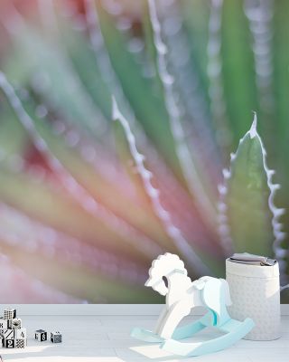 Dream Desert II Wallpaper