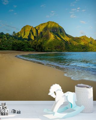 Early Beach Morning Wallpaper