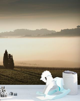 Foggy Grapes Wallpaper