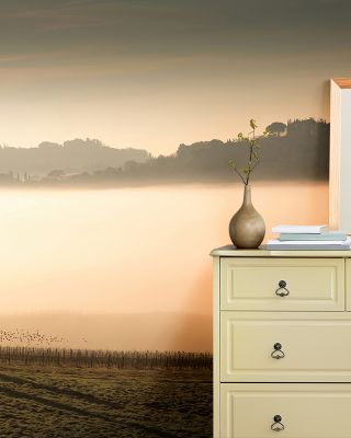 Foggy Grapes Wallpaper