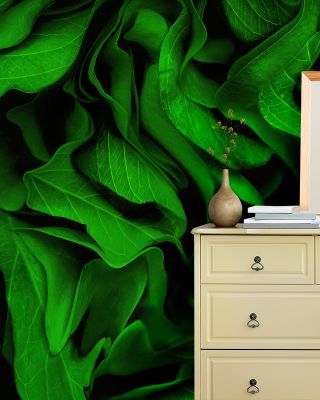 Green on Green Wallpaper