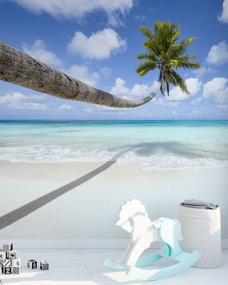Hanging Palm Tree Wallpaper