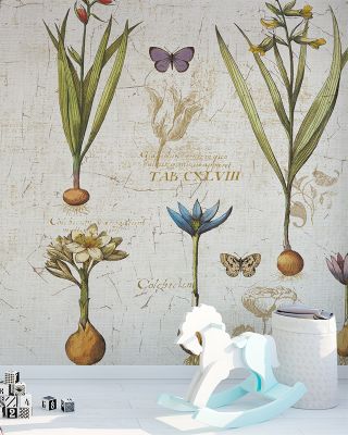 Histoire Naturelle V v2 Wallpaper