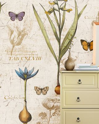 Histoire Naturelle V v2 Wallpaper