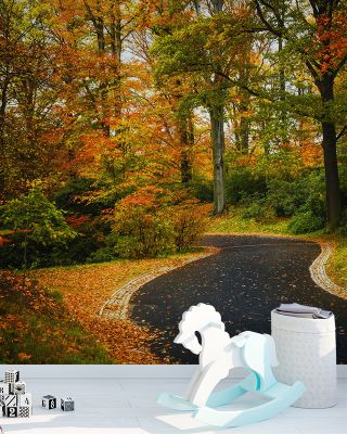 Morning Walk in the Park
