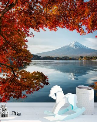 Mount Fuji Framed