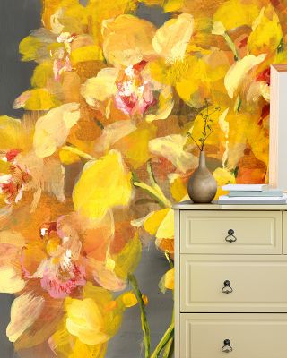 Orchid Dreaming