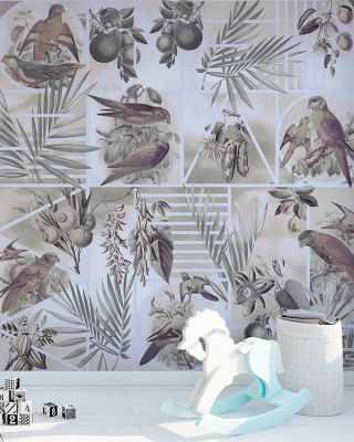Parrots Study