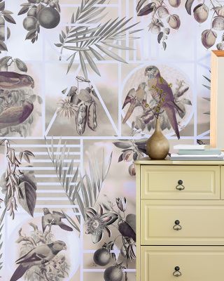 Parrots Study
