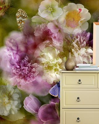 Soft Spring