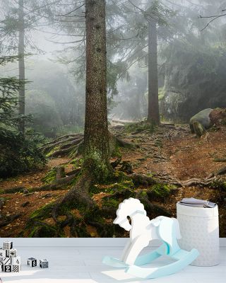 The Bear Trail