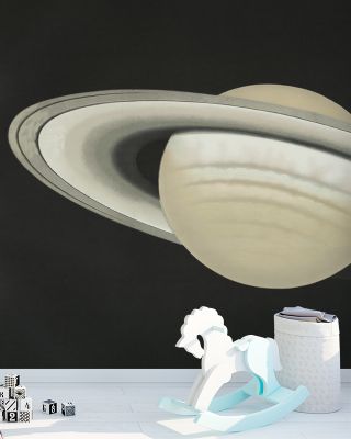 The Planet Saturn