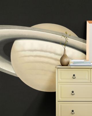 The Planet Saturn