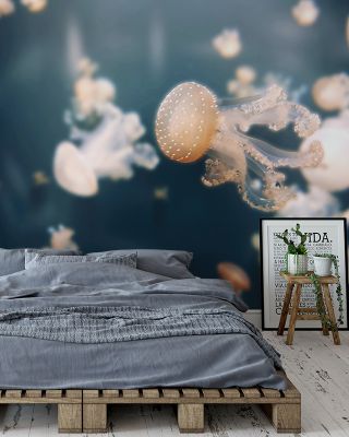 Baby Jellyfish Ocean Wallpaper