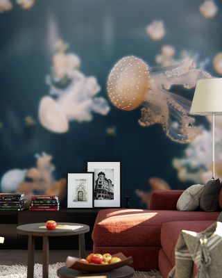 Baby Jellyfish Ocean Wallpaper