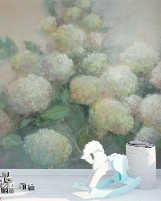 Annabelle Hydrangeas
