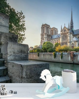 Cathedral Notre-Dame de Paris 2017