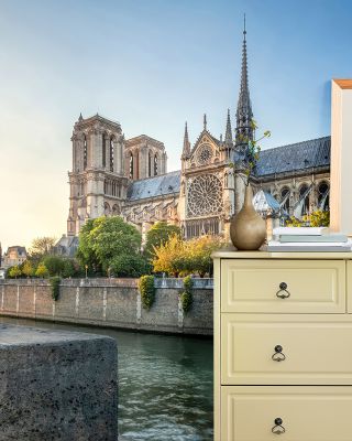 Cathedral Notre-Dame de Paris 2017