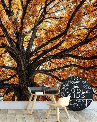 Fall Crown Wallpaper