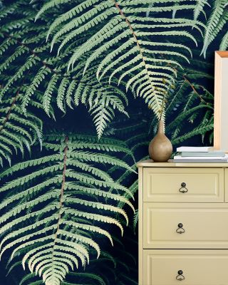 Fern Leaves Wallpaper
