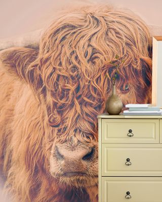 Highland Pride Wallpaper