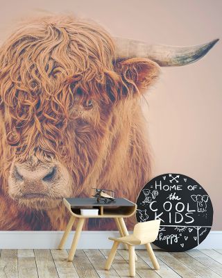 Highland Pride Wallpaper