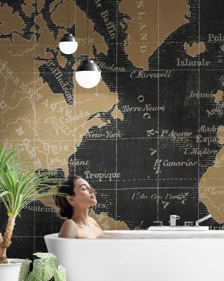 Mappemonde