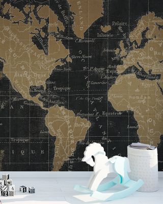 Mappemonde